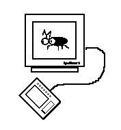 Imagem do Barata Elétrica