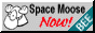 spacemoose now