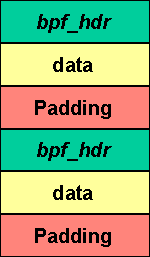 pic5.gif (7446 byte)