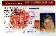 Arizona 2 thumbnail