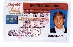 South Dakota 1
        thumbnail