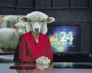 Sheep_NewscasterM.jpg