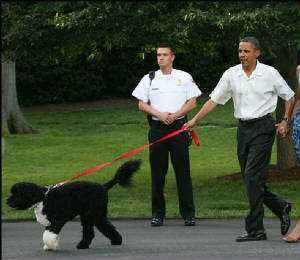 obama-rge.jpg