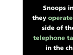 Snoops insist that they operate on the right side 