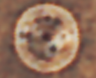 discblow.jpg (20674 bytes)