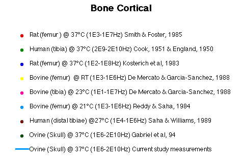 Bone Cortical Literature Legend