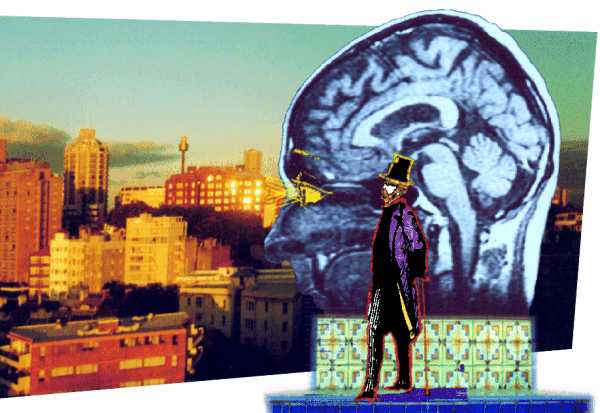 human brain consciousness