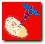 Aborted baby