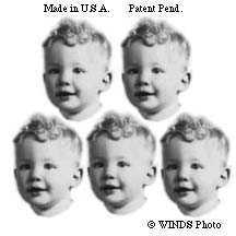 Baby clones