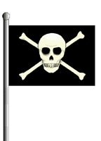 Pirate flag, skull and cross bones