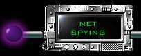 Net Spying